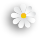 Daisy2.png